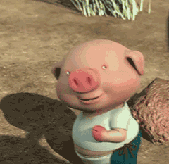 猪,逃跑的表情包