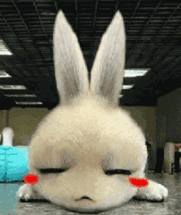 兔子,眨眼睛的表情包