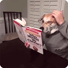 狗,看书,摸脑袋的表情包
