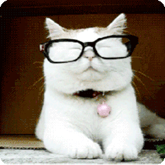 猫,摘眼镜,搞怪,惊吓的表情包
